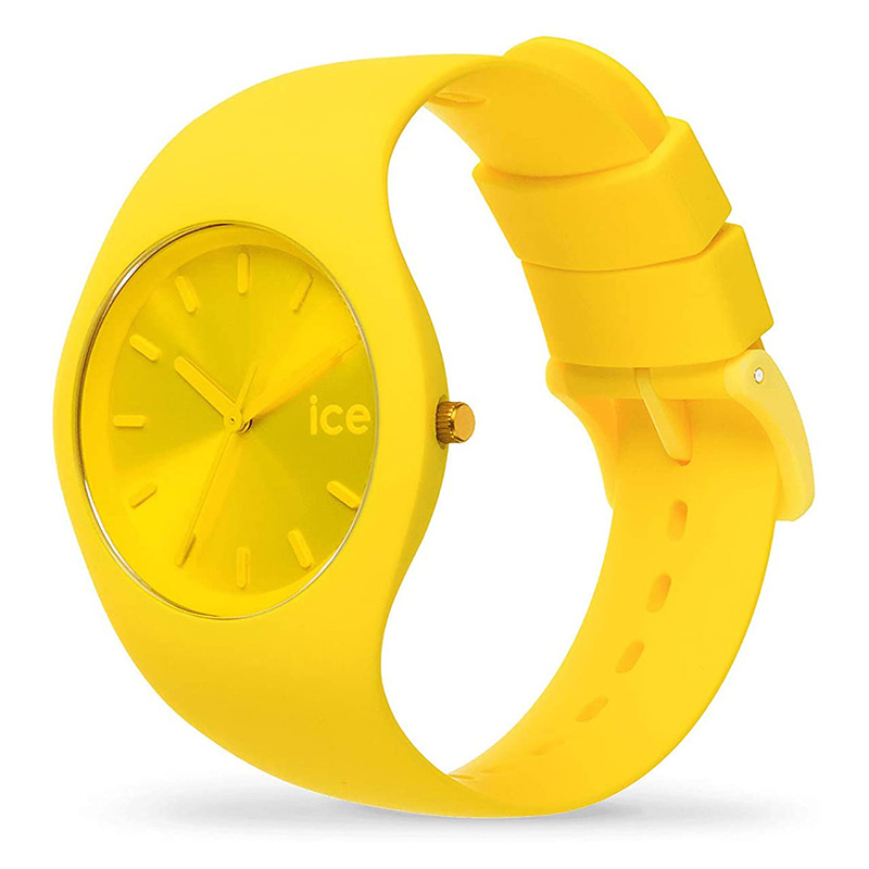 ice017909